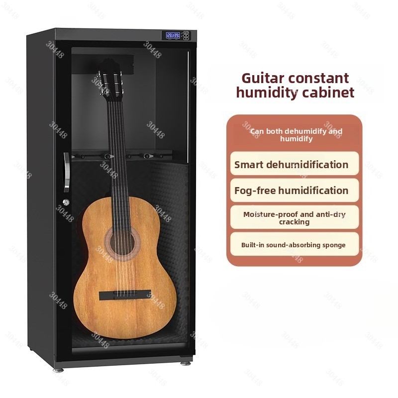 Violin Musical Instrument - Armadio asciutto intelligente per umidità costante