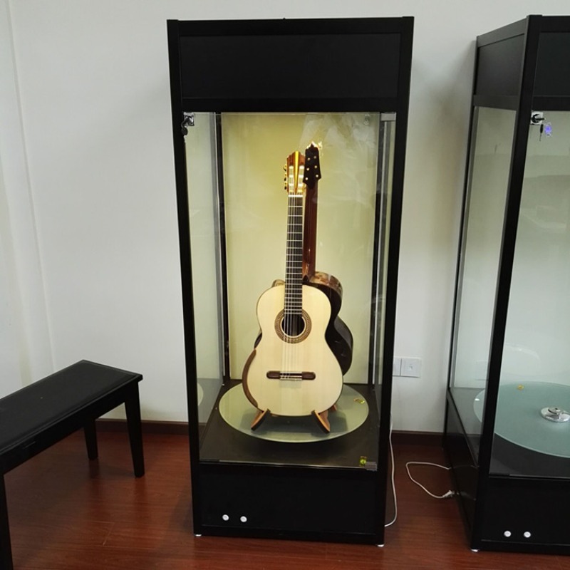 Musical Instrument Glass - Vetrina espositiva per chitarre, pianoforti, guzheng