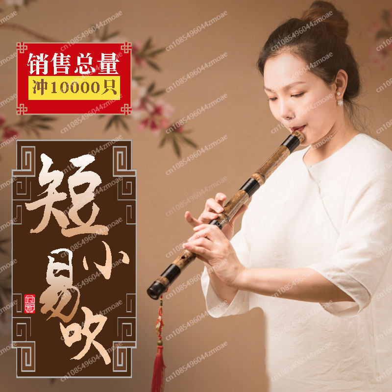 Flauto professionale in bambù  - Musical Instrument That You Blow Into recensione e prezzo