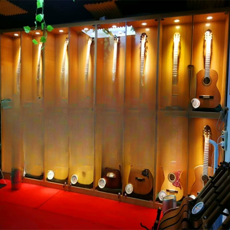 Vetrina per Strumenti Musicali - Musical Instrument Glass recensione e prezzo