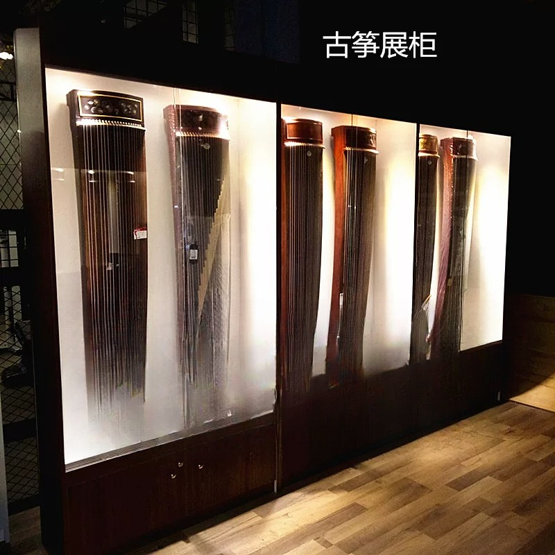 Vetrina per Strumenti Musicali - Musical Instrument Glass recensione e prezzo