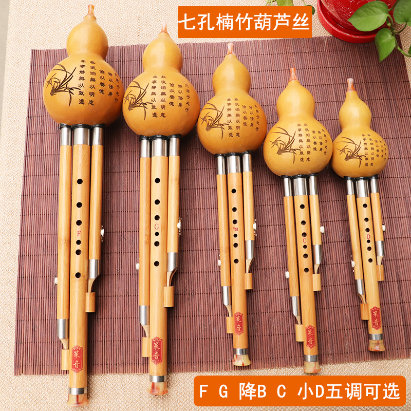 Strumento musicale in seta di  - Musical Instrument That You Blow Into recensione e prezzo