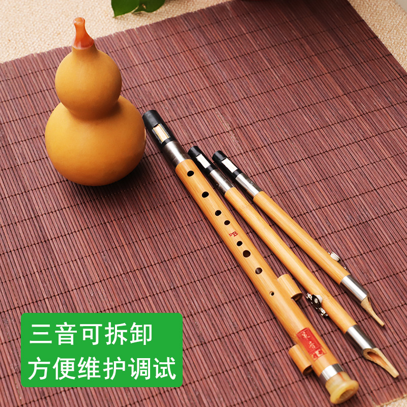 Strumento musicale in seta di  - Musical Instrument That You Blow Into recensione e prezzo