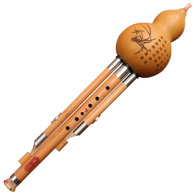 Strumento musicale in seta di  - Musical Instrument That You Blow Into recensione e prezzo